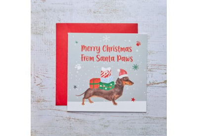 Dachshund Dog With Presents Christmas Card (4XS784)