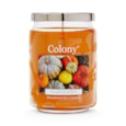 Wax Lyrical Colony Candle Jar Pumpkin Spice Large (CLN0311)