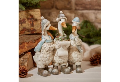 Xmas Triple Duck Carol Singing Ornament (7XA219)