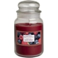 Prices Petali Candle Jar Mixed Berries Large (PTBJ010340)