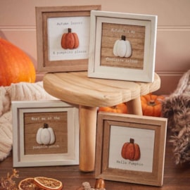 Richard Lang Pumpkin 3d Framed Plaque Asst (8HW445)