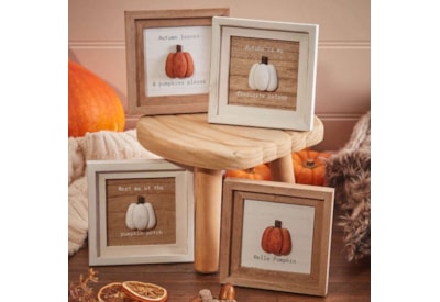 Richard Lang Pumpkin 3d Framed Plaque Asst (8HW445)