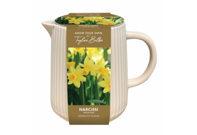 Taylors Narcissi Jug