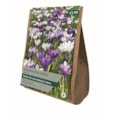 Taylors Crocuc Naturalising Mixed 18's (AV305)