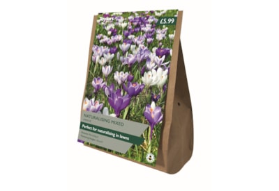 Taylors Crocuc Naturalising Mixed 18's (AV305)