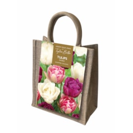 Taylors Double Tulips Jute Gift Bag (CB35)