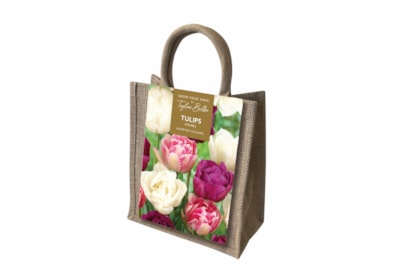 Taylors Double Tulips Jute Gift Bag (CB35)