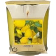 Baltus Citronella Jar Candle 45h 170gm (539631)