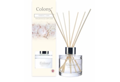 Colony Reed Diffuser Perfect Day 100ml (CLN0413)