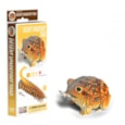 Eugy Desert Spadefoot Toad 3d Craft Set (D5081)