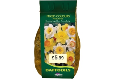 Taylors Narcissus Mix 1.5kg (DC60)