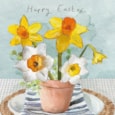 Ling Daffodils On Table Easter Card (EIIB0150)