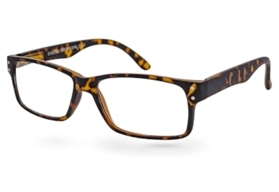 Eyelevel  Reading Glasses (EARL)