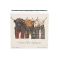 Gardiners Lana Mathieson Colours Of The Highlands Fudge 170g (GA144)