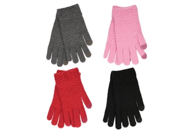 Rjm Ladies Textured Touch Screen Gloves (GL537B)