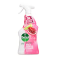 Dettol Anti Bac Multi Spray Pomegranate 750ml (HODET244)