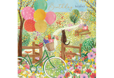 Ling Bike Ride Birthday Card (II1373)