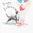 Ling Birthday Time Birthday Card (II1377)