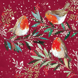 Christmas Charity Wildlife Set E Cards 6's (RCX24_E6)