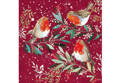 Christmas Charity Wildlife Set E Cards 6's (RCX24_E6)