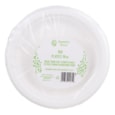 Swantex Green Bagasse Round Plate 7" 100s (P7100B)