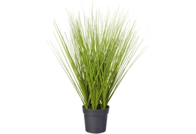 Grass In Plastic Pot 50cm (PT220015)