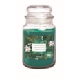 Prices Petali Christmas Light Candle Jar Large (PTBJ010321)