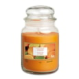 Prices Aladino Candle Jar Citrus Large (ALBJ010662)