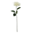 Glamis Single Dahlia w 2 Leaves Cream 61cm (SF0632C)