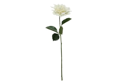 Glamis Single Dahlia w 2 Leaves Cream 61cm (SF0632C)