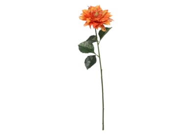 Glamis Single Dahlia w 2 Leaves Orange (SF0632O)