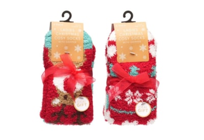 Ladies 2 Pack Christmas Cosy Socks (SK949)