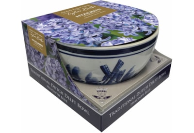 Taylors Blue Hyacinth Delft Bowl (DP12)