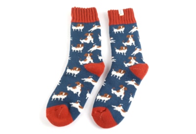 Miss Sparrow Winter Jack Russells Socks Navy (TSW019NAVY)