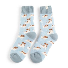 Miss Sparrow Winter Jack Russells Socks Powder Blue (TSW019POWDERBLUE)