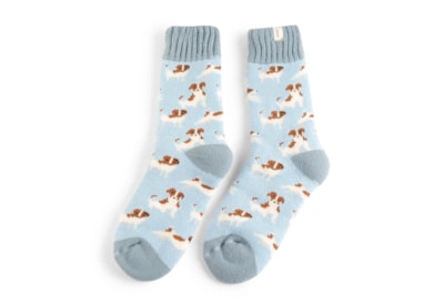 Miss Sparrow Winter Jack Russells Socks Powder Blue (TSW019POWDERBLUE)