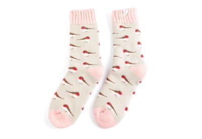 Miss Sparrow Winter Little Robin Socks Silver (TSW020SILVER)