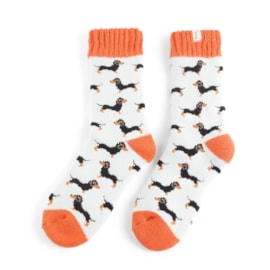 Miss Sparrow Winter Little Sausage Dogs Socks Duck Egg (TSW021DUCKEGG)