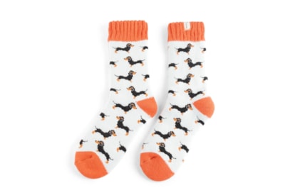 Miss Sparrow Winter Little Sausage Dogs Socks Duck Egg (TSW021DUCKEGG)