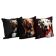 Sifcon Dog Sc Cushion 45x45 (TX1418)