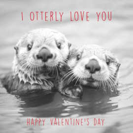 Ling Otters Hugging Valentines Day Card (VHIB0014)