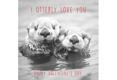 Ling Otters Hugging Valentines Day Card (VHIB0014)