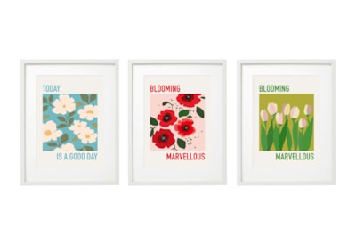 Sifcon Bloomin Flowers Wall Art 30x40 (WP2328)