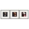 Sifcon Dog Animal Head Wall Art Asst 40x40 (WP2355)