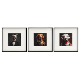 Sifcon Dog Animal Head Wall Art Asst 40x40 (WP2355)