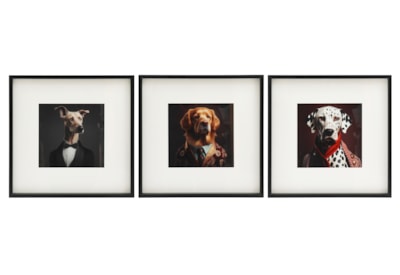 Sifcon Dog Animal Head Wall Art Asst 40x40 (WP2355)