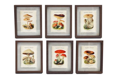 Sifcon Mushroom Shadow Wall Art 21x26 (WP2472)