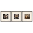 Sifcon Fluffy Dog Wall Art 40x40 (WP2487)