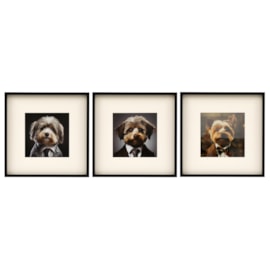 Sifcon Fluffy Dog Wall Art 40x40 (WP2487)