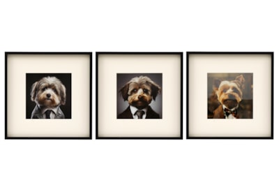 Sifcon Fluffy Dog Wall Art 40x40 (WP2487)